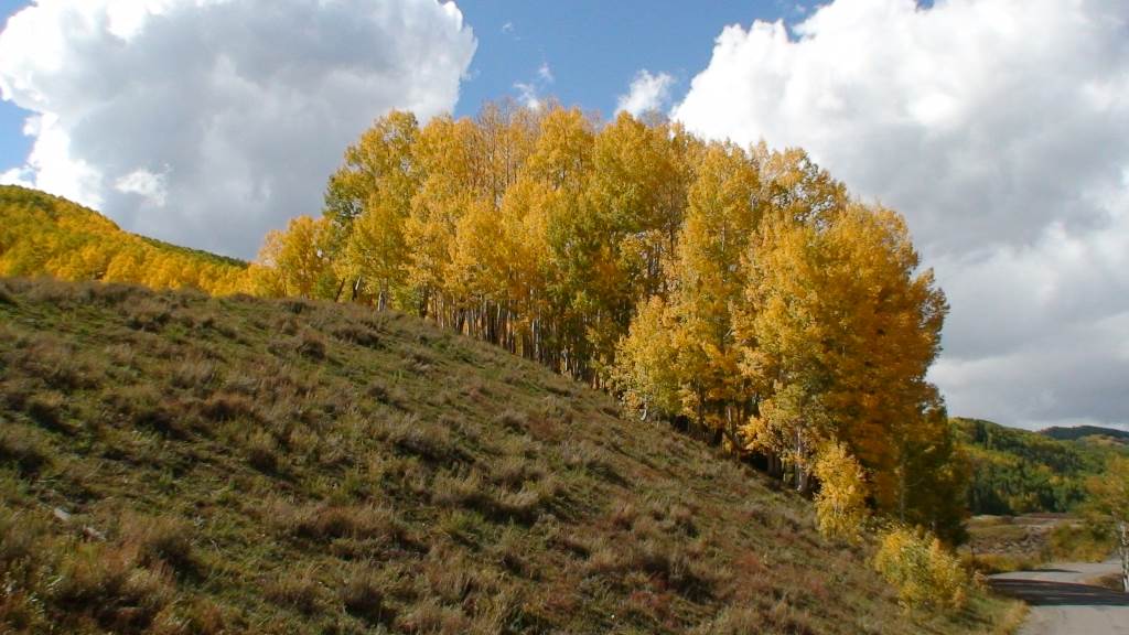 cb 009.JPG