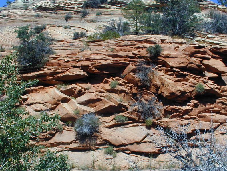 P7250989.JPG